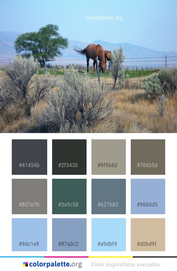 Ecosystem Horse Like Mammal Color Palette