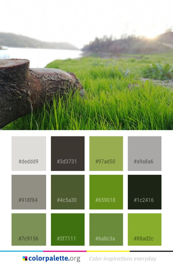 Grass Grassland Family Color Palette
