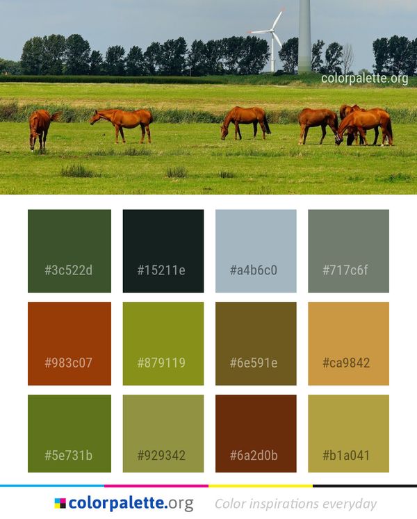 Grassland Pasture Grazing Color Palette