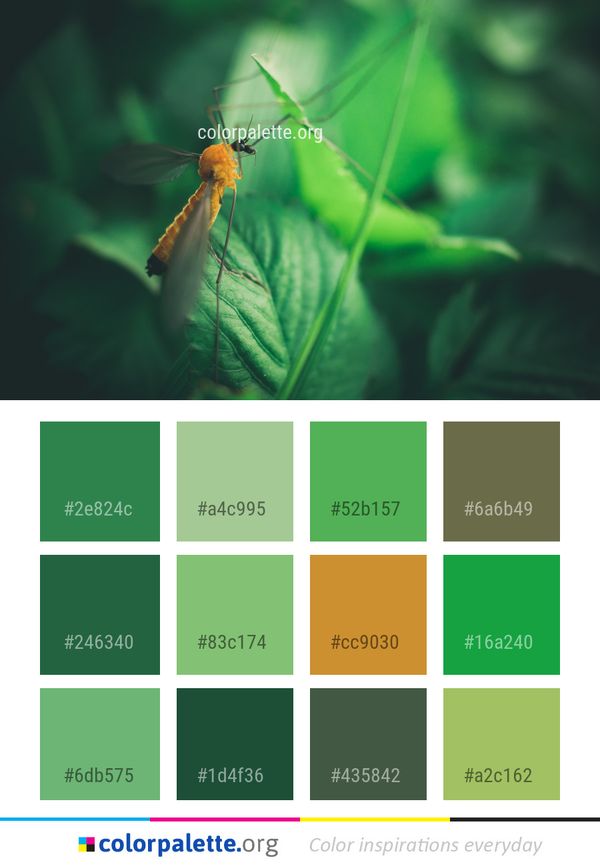 Insect Green Macro Photography Color Palette