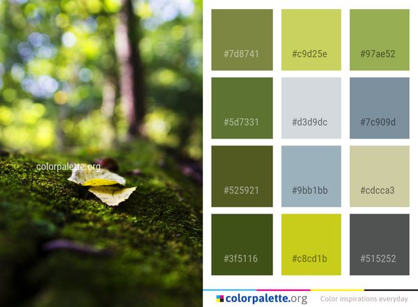 Leaf Nature Green Color Palette