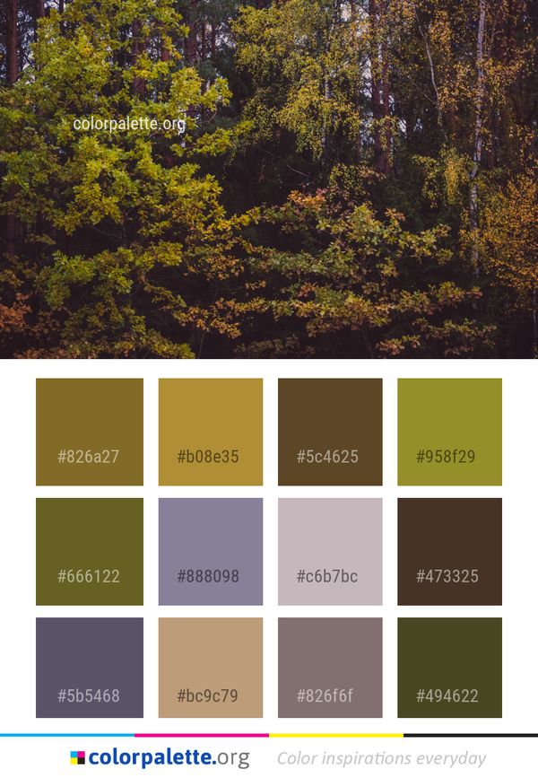 Nature Ecosystem Temperate Broadleaf And Mixed Forest Color Palette
