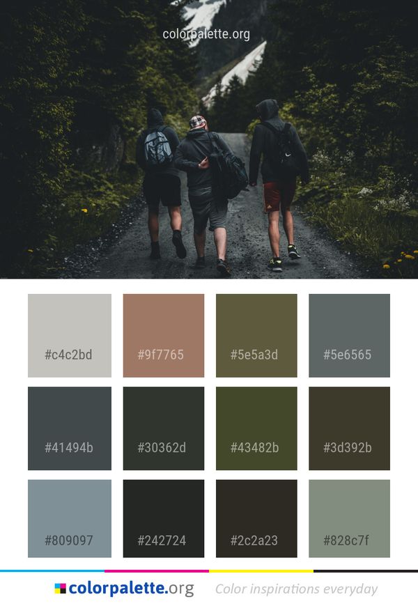 Nature Wilderness Tree Color Palette