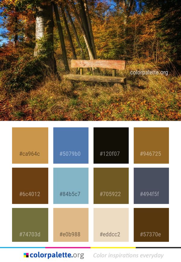 Nature Woodland Leaf Color Palette