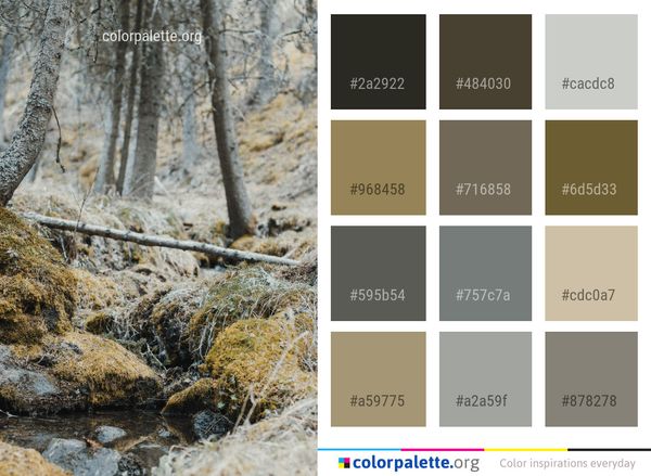 Nature Woodland Water Color Palette
