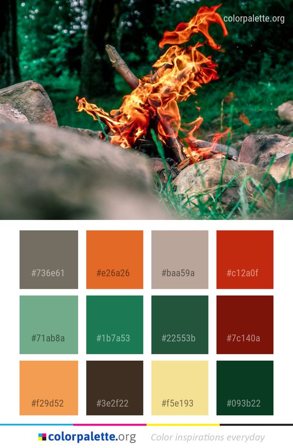 Organism Plant Color Palette