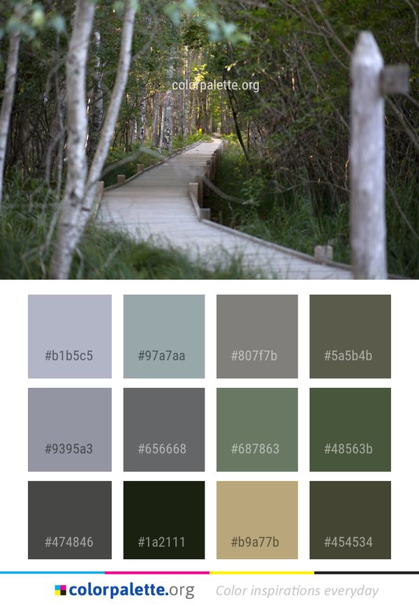 Path Tree Plant Color Palette