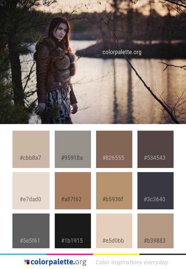 Photograph Tree Nature Color Palette