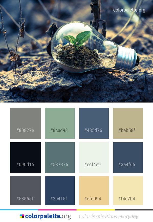 Soil Tree Plant Color Palette