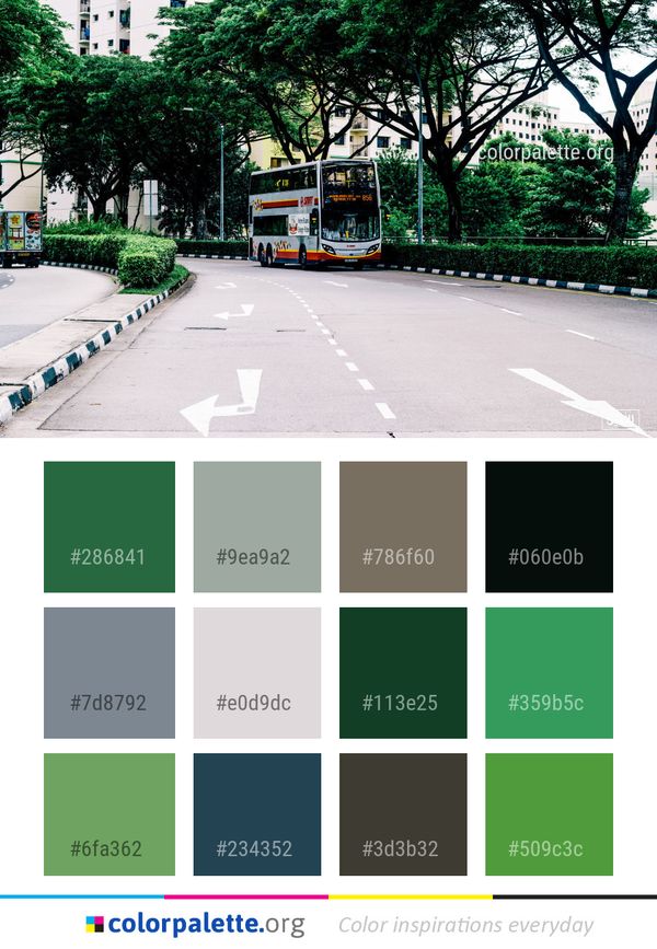 Transport Metropolitan Area Lane Color Palette