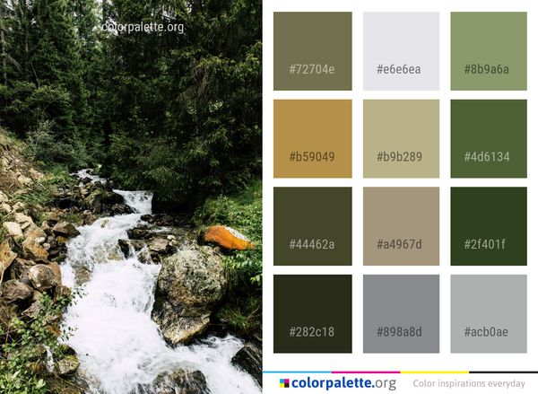 Water Stream Nature Color Palette