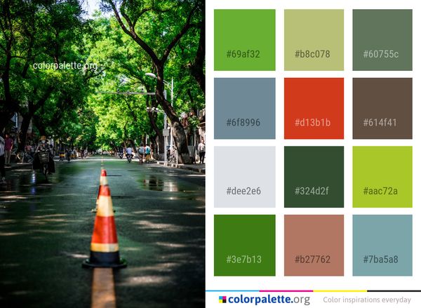 Water Tree Waterway Color Palette