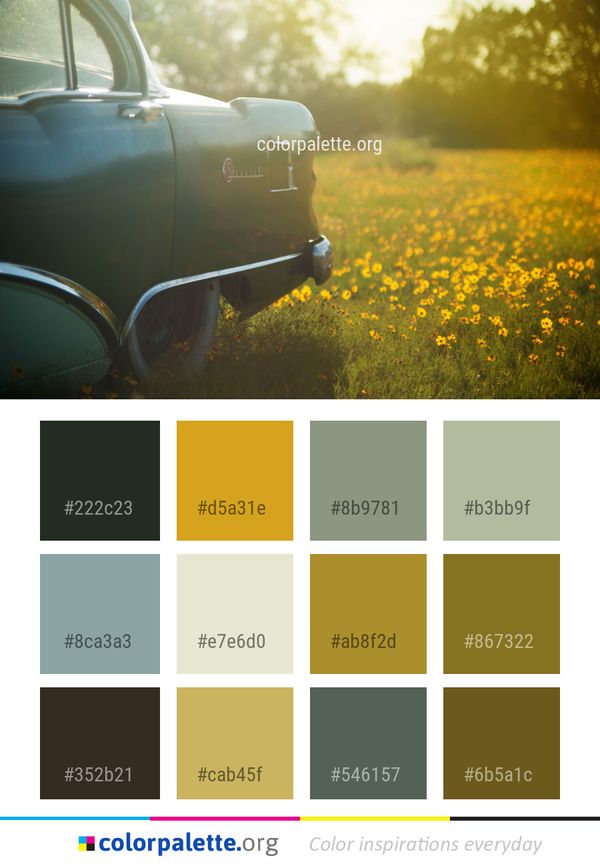 Yellow Plant Car Color Palette