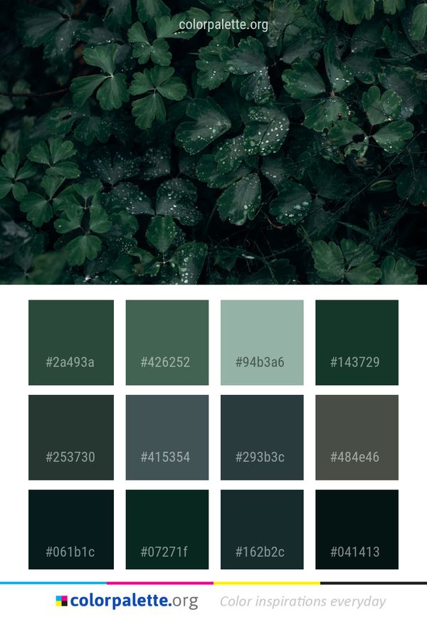 Green Water Leaf Color Palette
