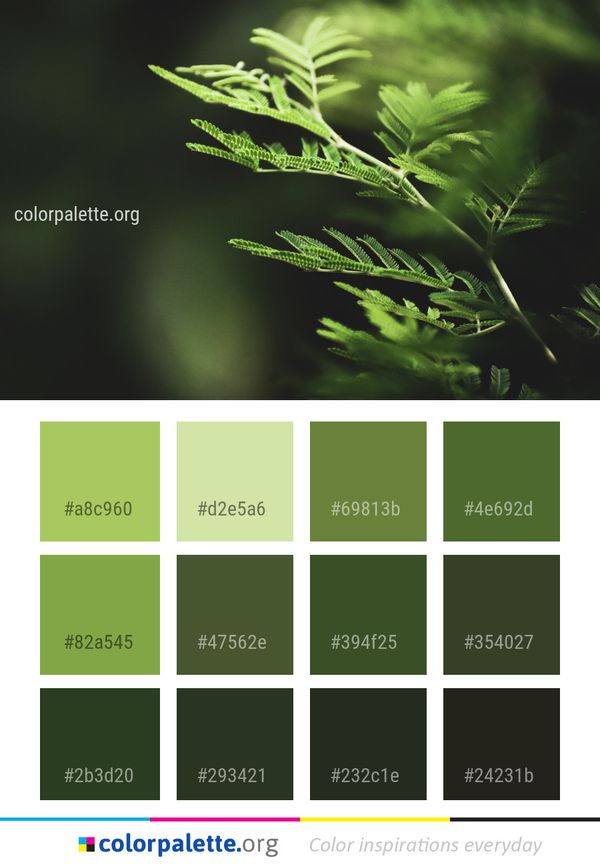 Leaf Vegetation Plant Color Palette