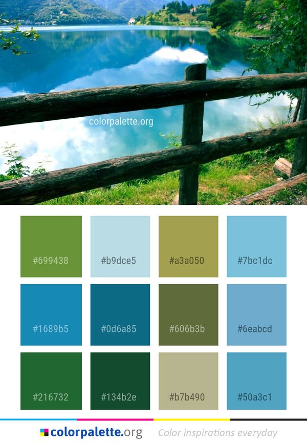 Nature Reflection Water Color Palette