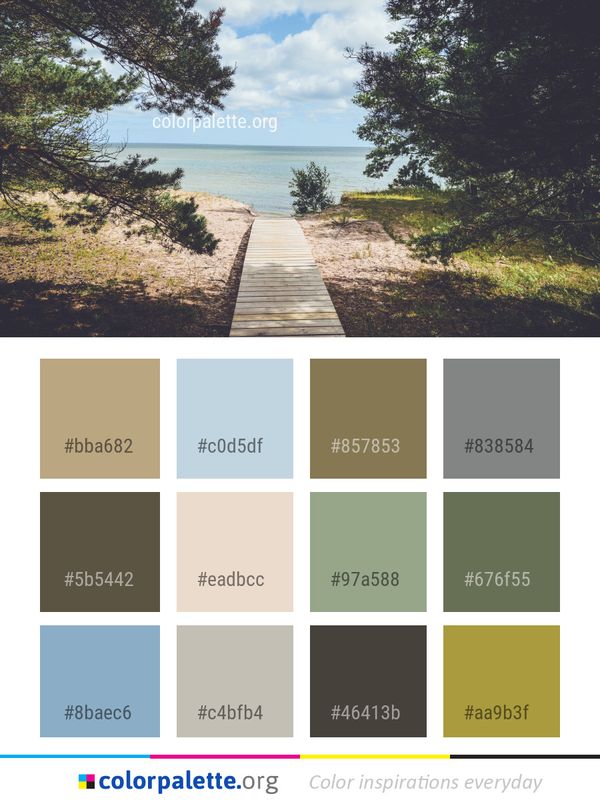 Path Shore Coast Color Palette
