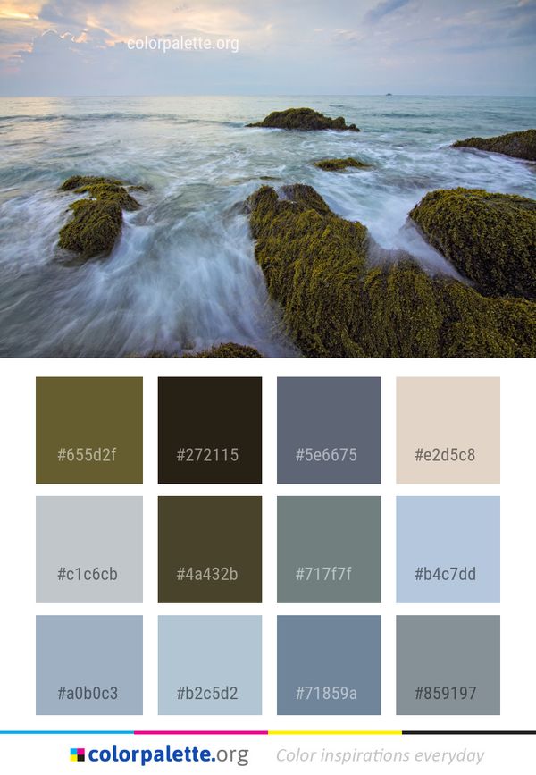 Sea Body Of Water Coast Color Palette
