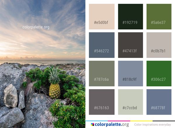Sky Vegetation Rock Color Palette