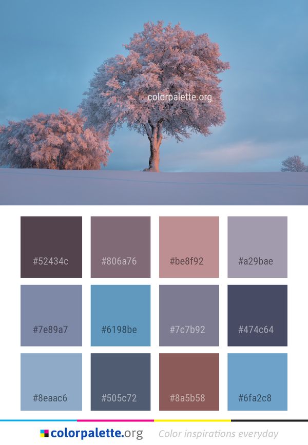 Tree Sky Winter Color Palette