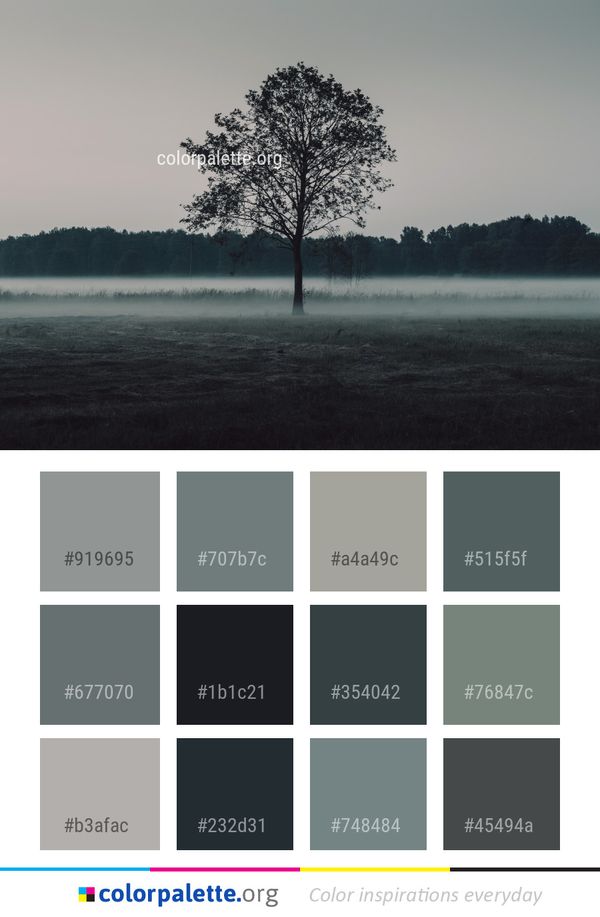 Water Tree Nature Color Palette