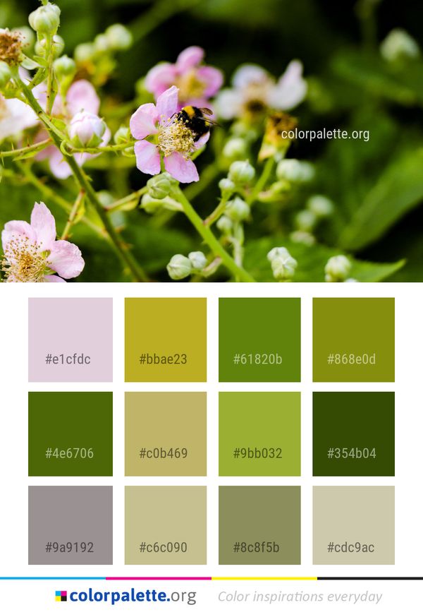 Flower Flora Nectar Color Palette