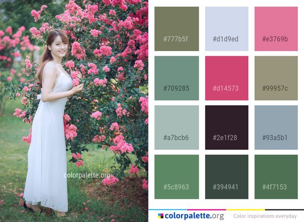 Flower Pink Rose Color Palette
