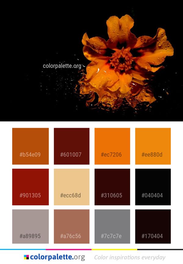 Flower Yellow Flora Color Palette