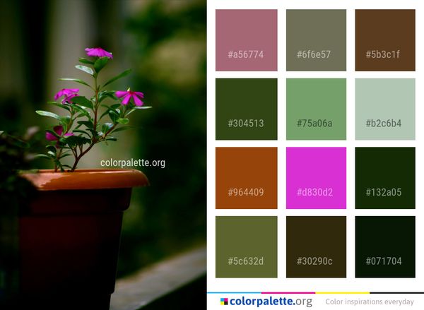 Plant Flora Flower Color Palette
