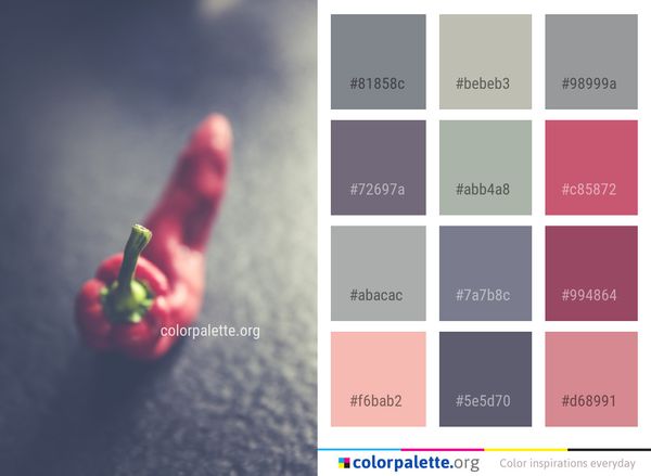Red Close Up Macro Photography Color Palette