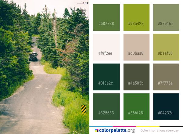 Road Nature Path Color Palette