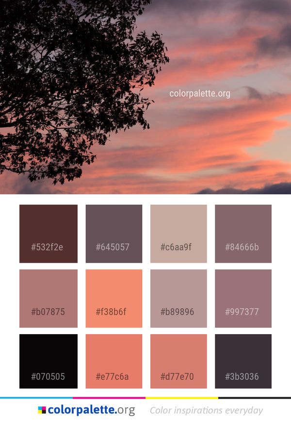Sky Cloud Tree Color Palette