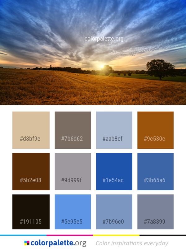 Sky Field Cloud Color Palette