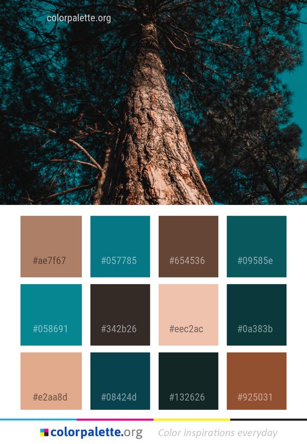 Tree Nature Woody Plant Color Palette