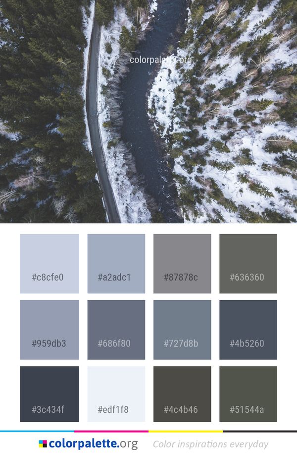 Tree Winter Snow Color Palette