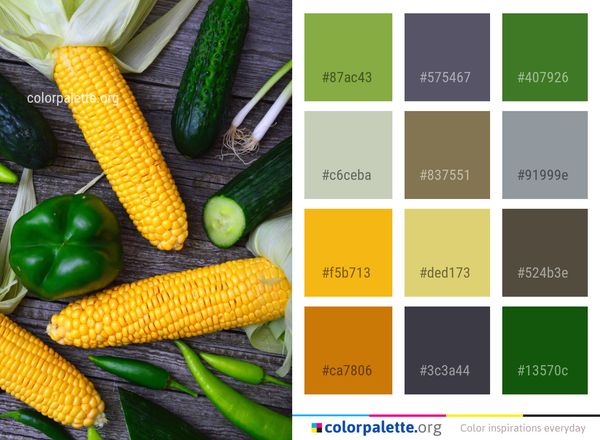 Vegetable Sweet Corn On The Cob Color Palette