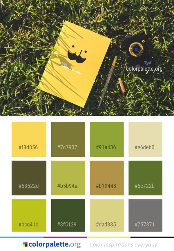 Yellow Green Grass Color Palette