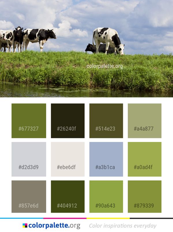 Cattle Like Mammal Grassland Dairy Cow Color Palette