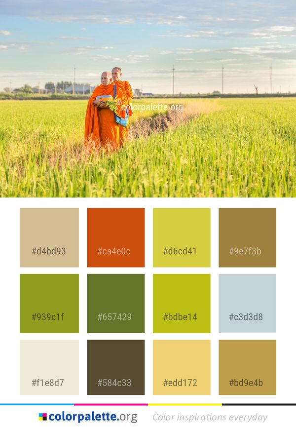 Grassland Field Agriculture Color Palette