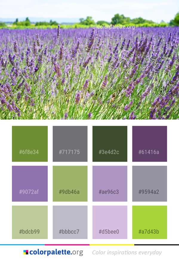 Lavender English Color Palette