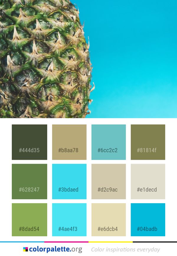 Pineapple Ananas Plant Color Palette
