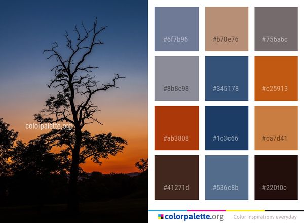 Sky Tree Nature Color Palette