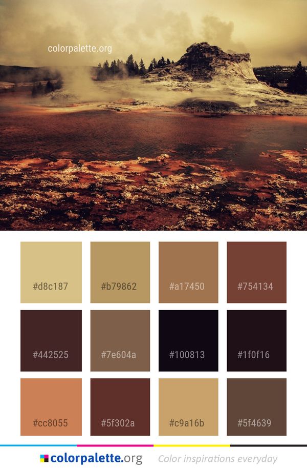 Sky Wilderness Highland Color Palette