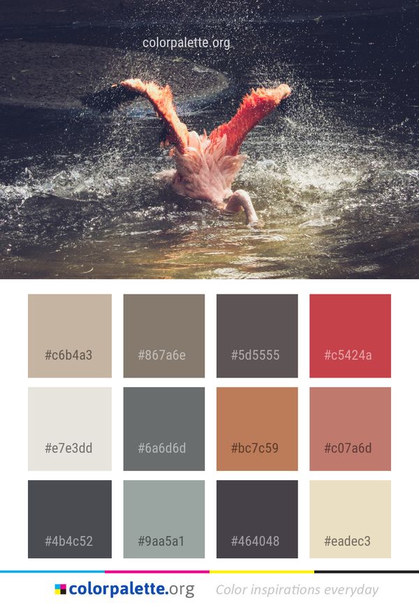 Water Nature Sky Color Palette