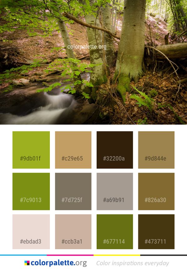 Water Nature Vegetation Color Palette