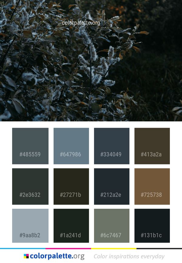 Water Seaweed Winter Color Palette