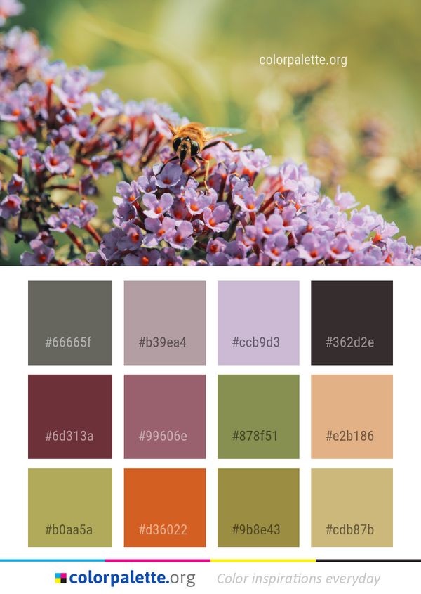 Bee Flora Honey Color Palette