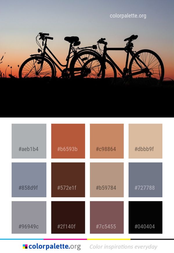 Bicycle Road Cycling Color Palette