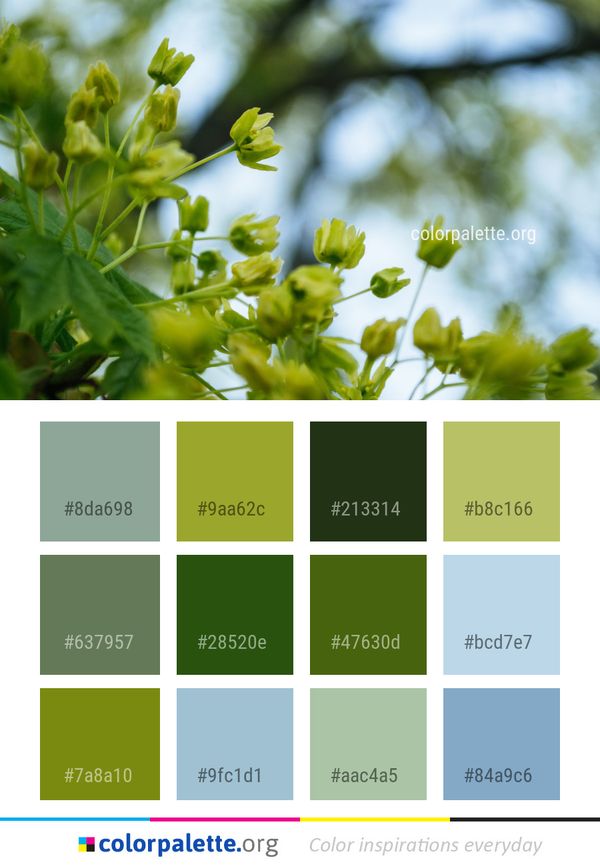 Green Plant Flora Color Palette