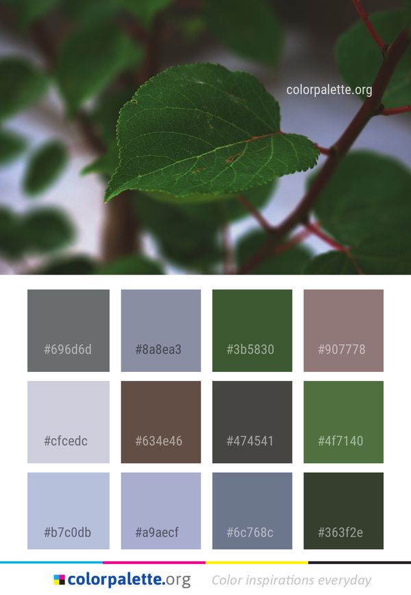 Leaf Plant Stem Color Palette